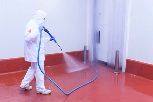 Best House Exterior Washing  in Marcus Hook, PA